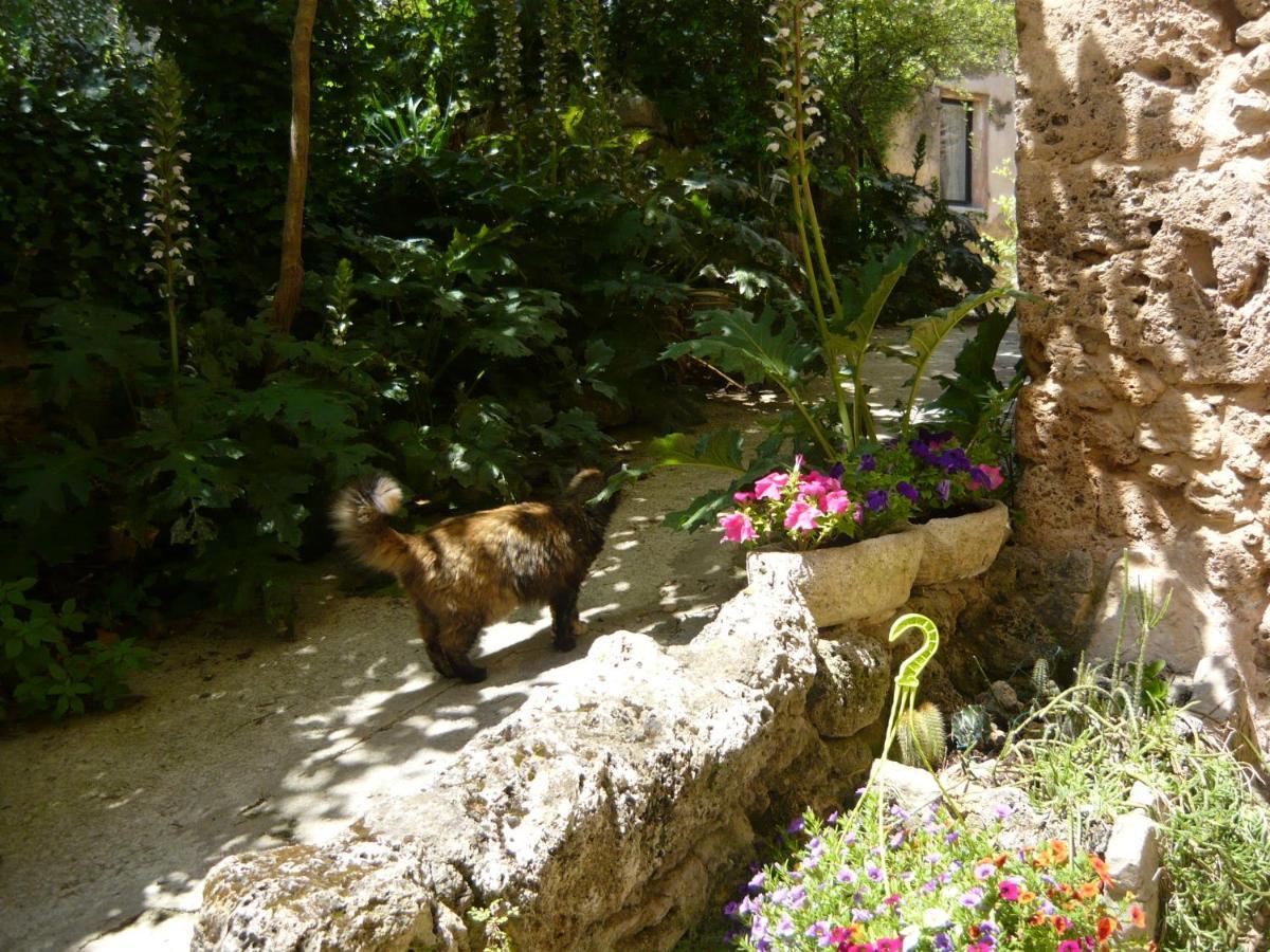 Le Pra De Pe Bed & Breakfast Cotignac Exterior foto